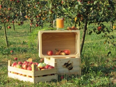 Rade u gradu, a ulažu u selo- zašto se mlade generacije agronoma nakon završenog fakulteta ne vraćaju odmah u ruralne sredine