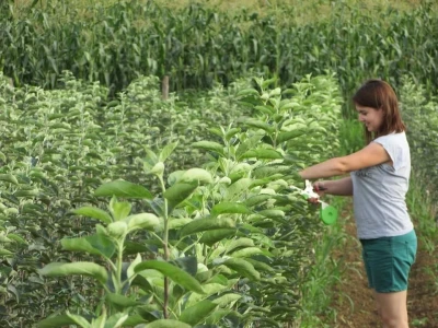 Rade u gradu, a ulažu u selo- zašto se mlade generacije agronoma nakon završenog fakulteta ne vraćaju odmah u ruralne sredine