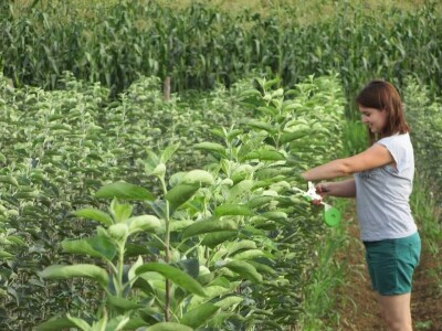 Rade u gradu, a ulažu u selo- zašto se mlade generacije agronoma nakon završenog fakulteta ne vraćaju odmah u ruralne sredine