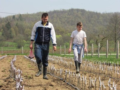 Rade u gradu, a ulažu u selo- zašto se mlade generacije agronoma nakon završenog fakulteta ne vraćaju odmah u ruralne sredine