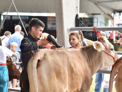 Izložba životinja na AGRA sajmu Izložba životinja na AGRA sajmu