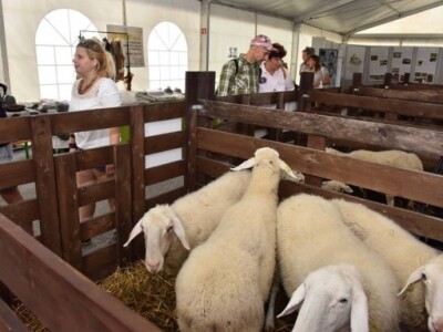 Slovenski program ruralnog razvoja usvojen pola godine prije našeg Slovenski program ruralnog razvoja usvojen pola godine prije našeg