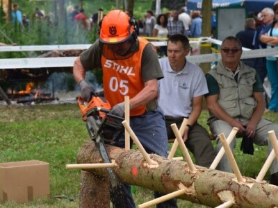 Natjecanja u raznim disciplinama Natjecanja u raznim disciplinama
