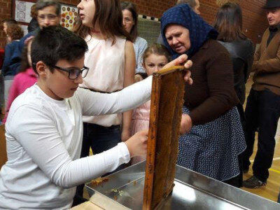 Učenje uz pomoć mentora