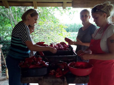 U tijeku je priprema zimnice U tijeku je priprema zimnice