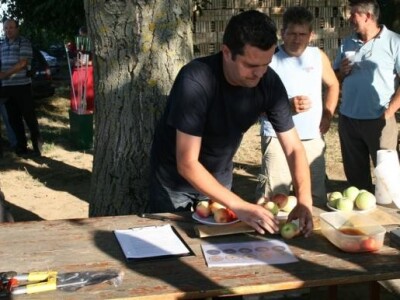 Radionica JABUKA.NET 2