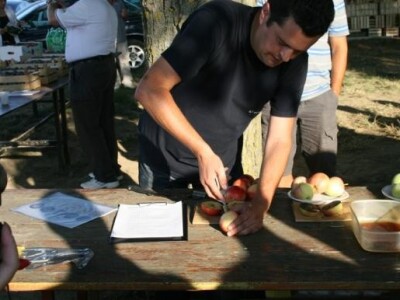 Radionica JABUKA.NET 2