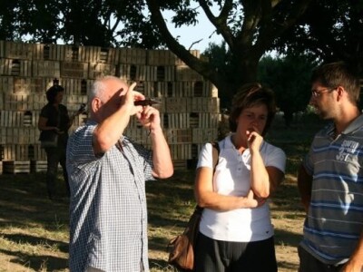 Radionica JABUKA.NET 2