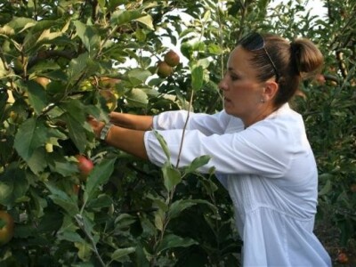 Radionica JABUKA.NET 2