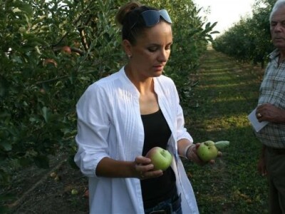 Radionica JABUKA.NET 2