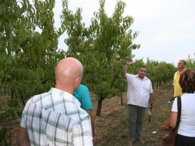 Radionica JABUKA.NET 2