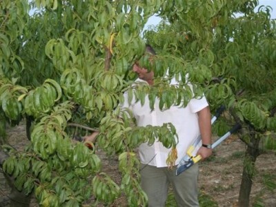 Radionica JABUKA.NET 2