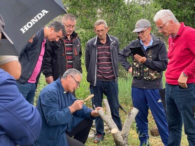 Radionica "Kako kalemiti masline?", Neum 2024.