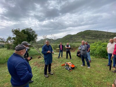 Radionica "Kako kalemiti masline?", Neum 2024.