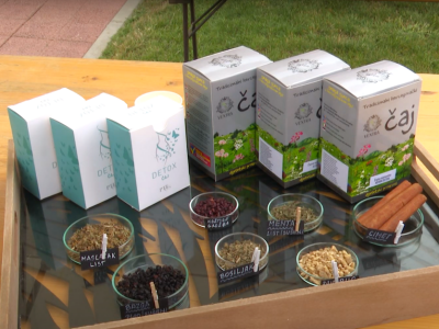 Radionica ljekovitog bilja