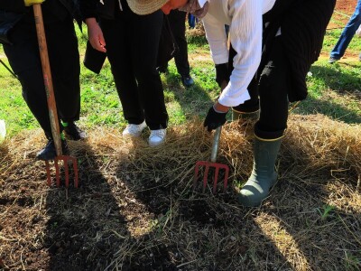 Radionica održivog vrtlarstva - Društveni vrt Gregovica