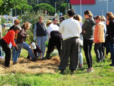 Radionica održivog vrtlarstva - Društveni vrt Gregovica