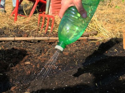 Radionica održivog vrtlarstva - Društveni vrt Gregovica