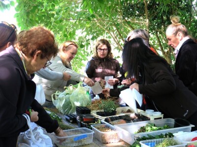 Radionica održivog vrtlarstva - Društveni vrt Gregovica