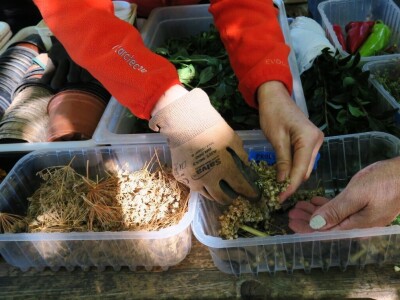 Radionica održivog vrtlarstva - Društveni vrt Gregovica