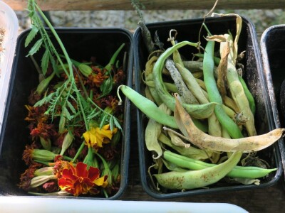 Radionica održivog vrtlarstva - Društveni vrt Gregovica