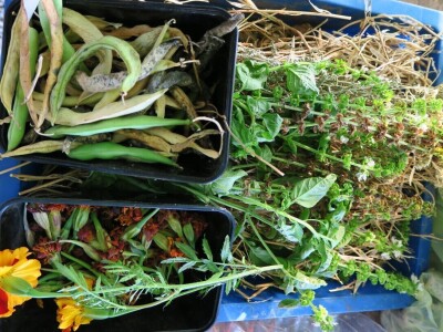 Radionica održivog vrtlarstva - Društveni vrt Gregovica