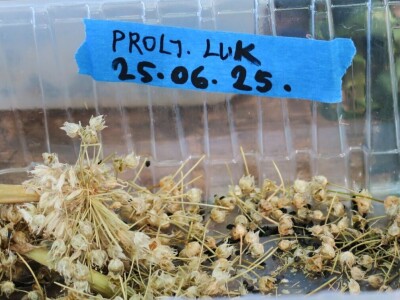 Radionica održivog vrtlarstva - Društveni vrt Gregovica