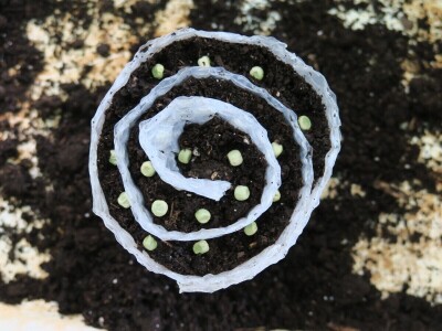 Radionica održivog vrtlarstva - Društveni vrt Gregovica