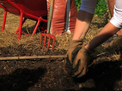 Radionica održivog vrtlarstva - Društveni vrt Gregovica