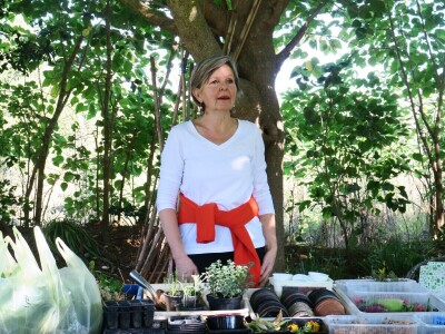 Radionica održivog vrtlarstva - Društveni vrt Gregovica