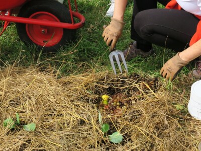 Radionica održivog vrtlarstva - Društveni vrt Gregovica