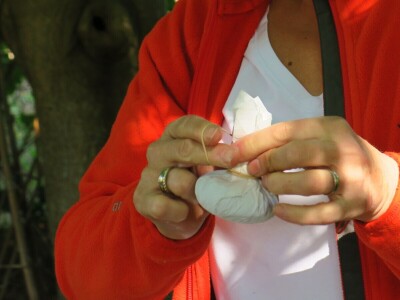 Radionica održivog vrtlarstva - Društveni vrt Gregovica