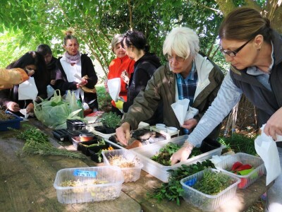 Radionica održivog vrtlarstva - Društveni vrt Gregovica