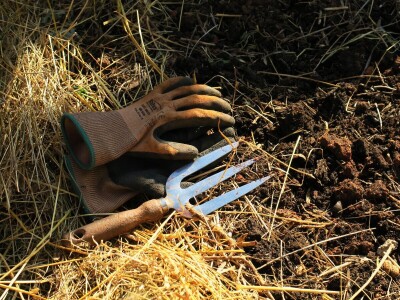 Radionica održivog vrtlarstva - Društveni vrt Gregovica