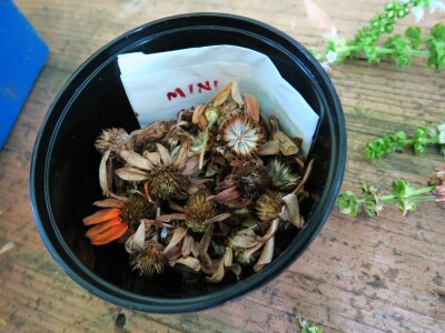 Radionica održivog vrtlarstva - Društveni vrt Gregovica