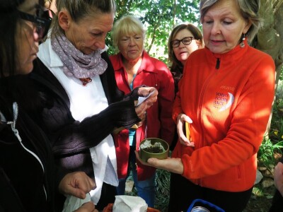 Radionica održivog vrtlarstva - Društveni vrt Gregovica