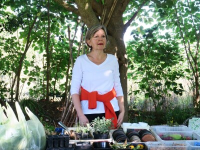 Radionica održivog vrtlarstva - Društveni vrt Gregovica