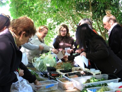 Radionica održivog vrtlarstva - Društveni vrt Gregovica