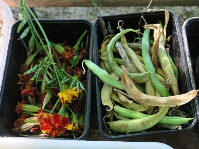 Radionica održivog vrtlarstva - Društveni vrt Gregovica