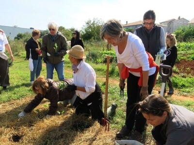 Radionica održivog vrtlarstva - Društveni vrt Gregovica
