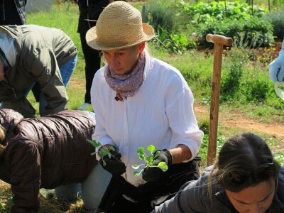 Radionica održivog vrtlarstva - Društveni vrt Gregovica