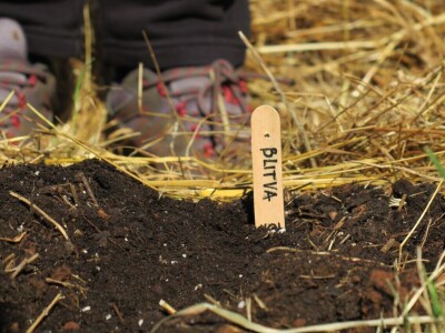 Radionica održivog vrtlarstva - Društveni vrt Gregovica