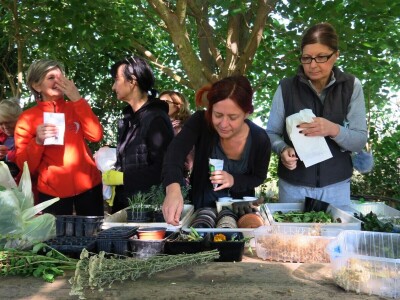 Radionica održivog vrtlarstva - Društveni vrt Gregovica