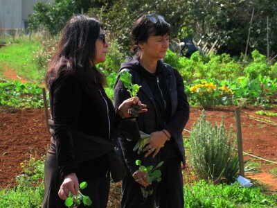 Radionica održivog vrtlarstva - Društveni vrt Gregovica