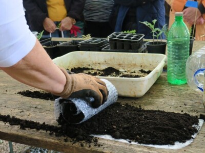 Radionica održivog vrtlarstva - Društveni vrt Gregovica