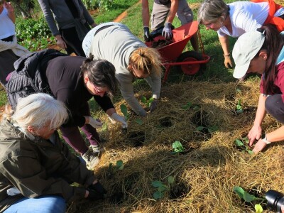 Radionica održivog vrtlarstva - Društveni vrt Gregovica