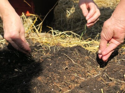 Radionica održivog vrtlarstva - Društveni vrt Gregovica