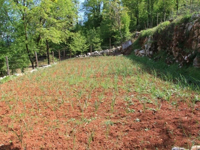 Radionica suhozida
