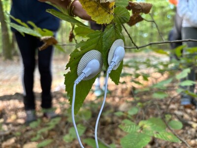 Radionice povezivanja s prirodom Radionice povezivanja s prirodom