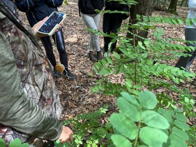 Radionice povezivanja s prirodom Radionice povezivanja s prirodom